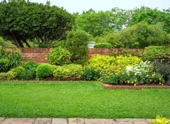 landscaping services Florida